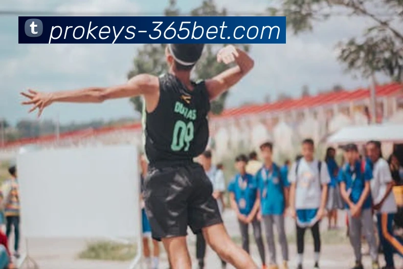 App Interface Preview